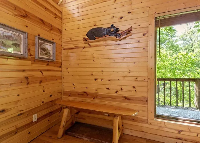 Hot Tub No Pet Fee - Beary Secluded - Rrg