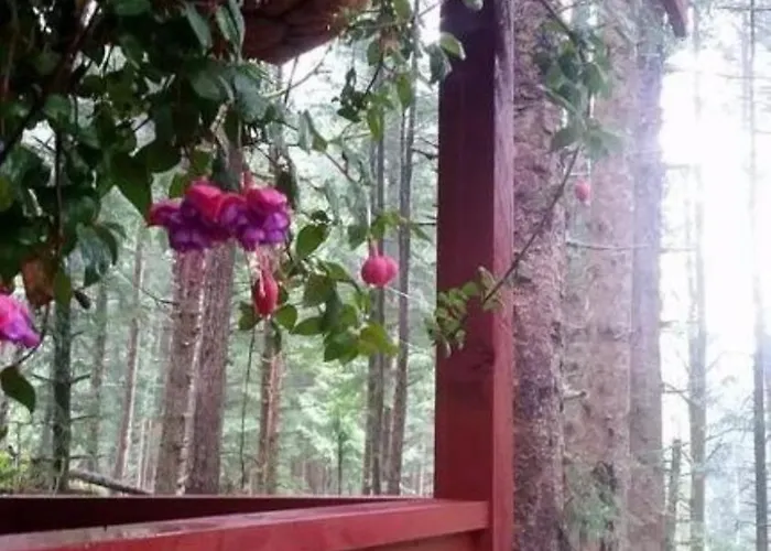 Charming A-Frame Cabin Rental On Prince Of Wales Island In Hollis, Alaska