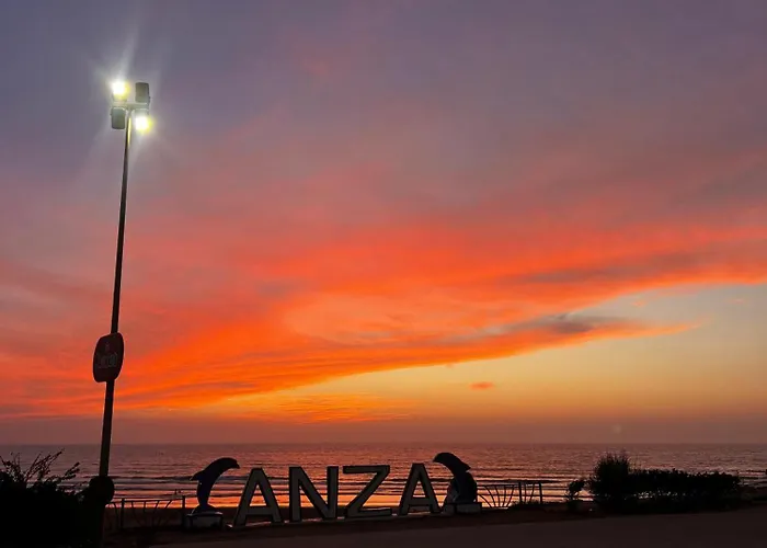 Nest Surf Housse Anza