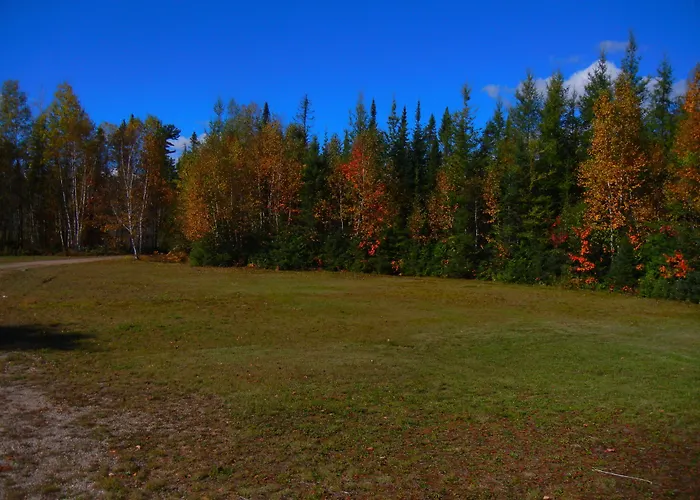 Shores Of Deer Lake