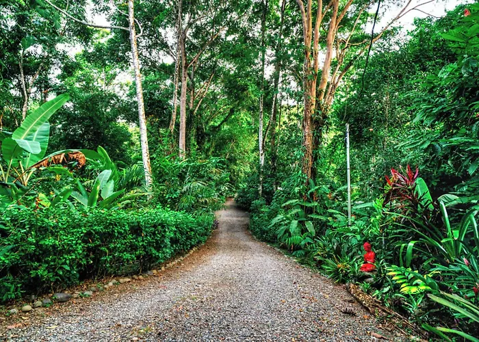 La Shamana - Ecological Concept In Jungle