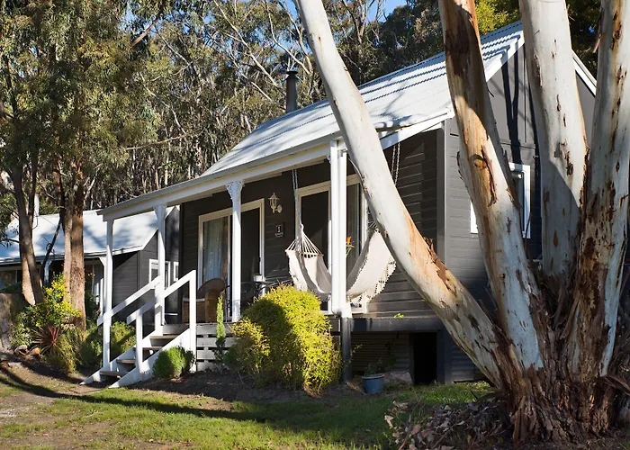 Bodhi Daylesford - Family Friendly Group Accommodation With Pool