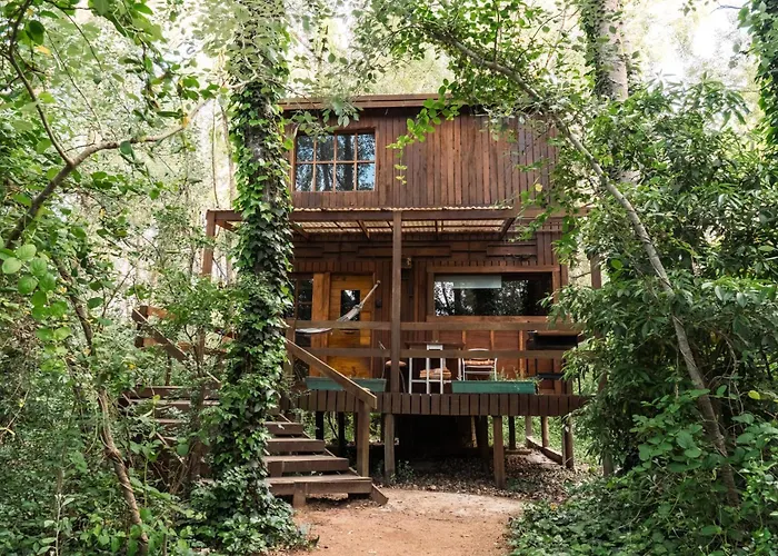 Cabanas En El Bosque A 5 Minutos Del Mar - Estancia Ch