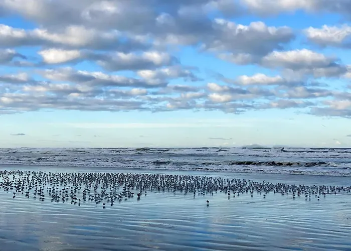 Tidal House #10 - Ocean Shores Chalet