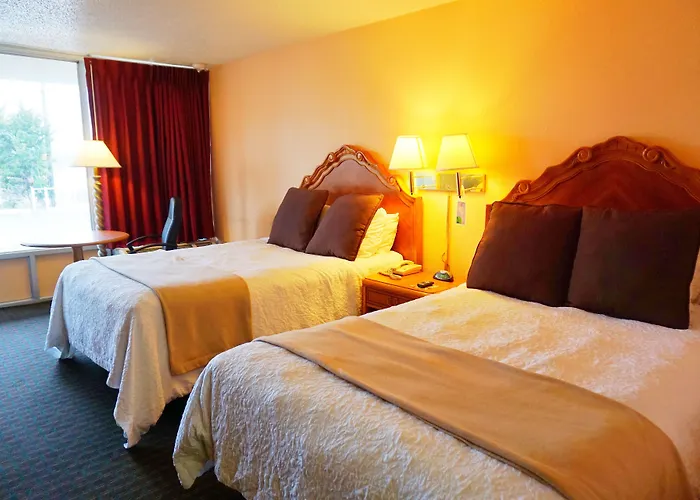 Castle Inn & Suites By Oyo Lawton