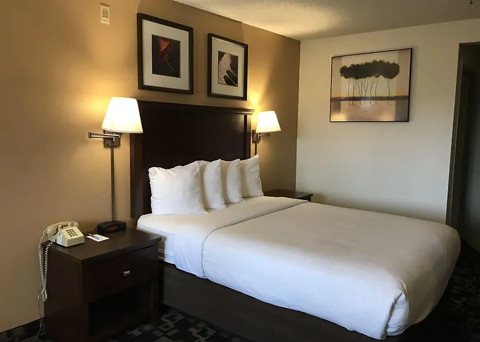 Morningglory Inn & Suites