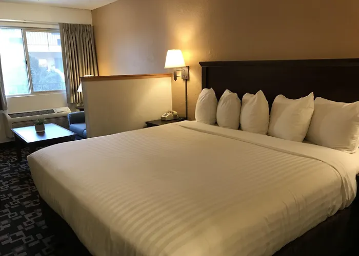 Morningglory Inn & Suites