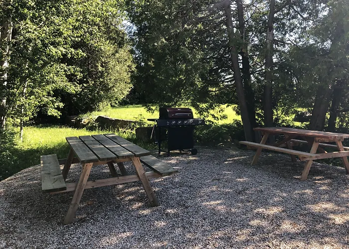 Adventure The Bruce Inn - Recently Renovated With Outdoor Hot Tub