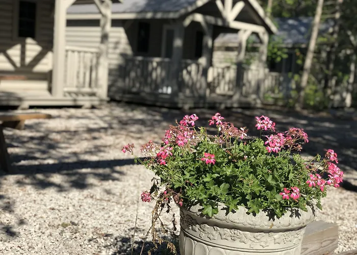 Adventure The Bruce Inn - Recently Renovated With Outdoor Hot Tub