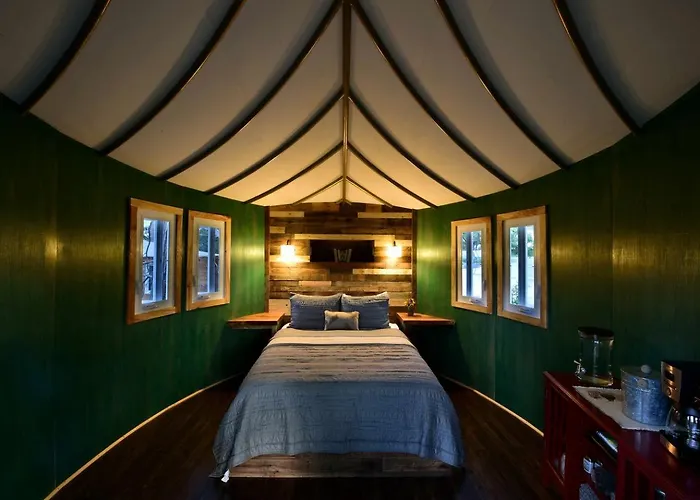 Adventures Await At This Stunning Tree House Retreat In Texas