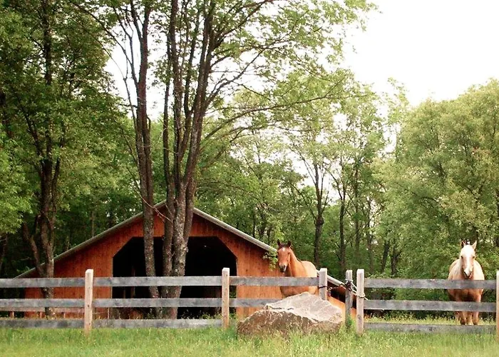 Rustic Log Cabin Rental In Adirondack Park Near Lake Ontario