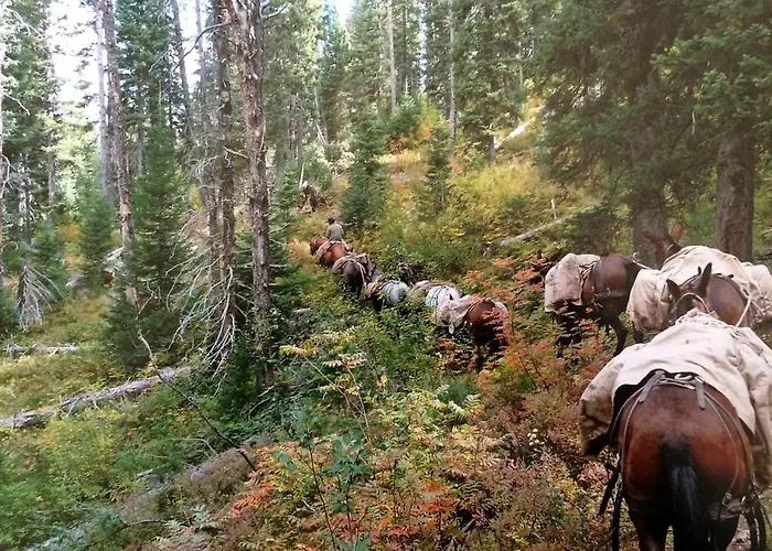 Traditional Log Cabin Rental Near The Grand Tetons In Alpine, Wyoming