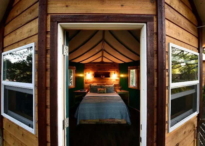 Adventures Await At This Stunning Tree House Retreat In Texas