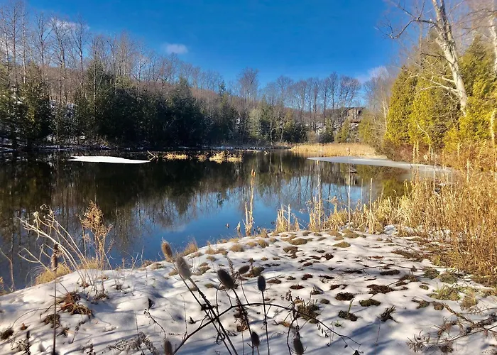 On Belanger Pond
