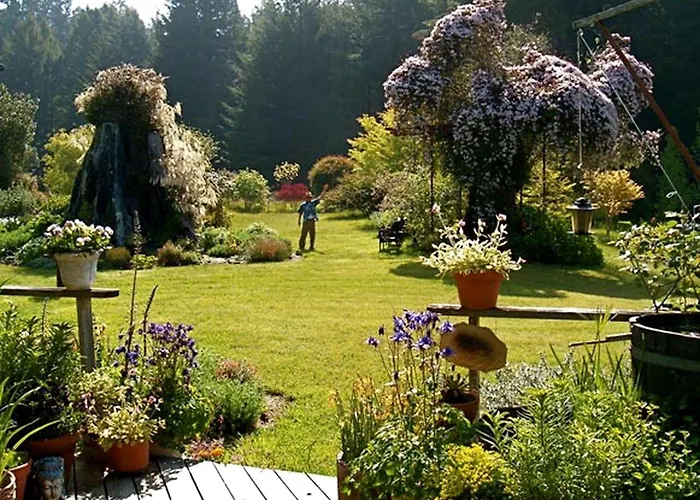 Rural Vacation Cottage Near The Coast And The Town Of Albion In Northern California