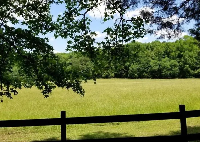 Stylish Tiny House For Glamping In South Carolina