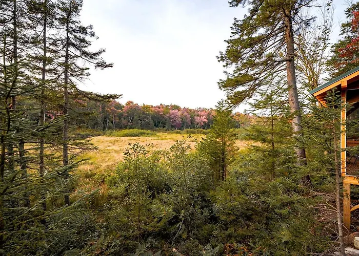 Charming Cabin For Glamping In The Adirondacks, Ideal For A Couples Getaway