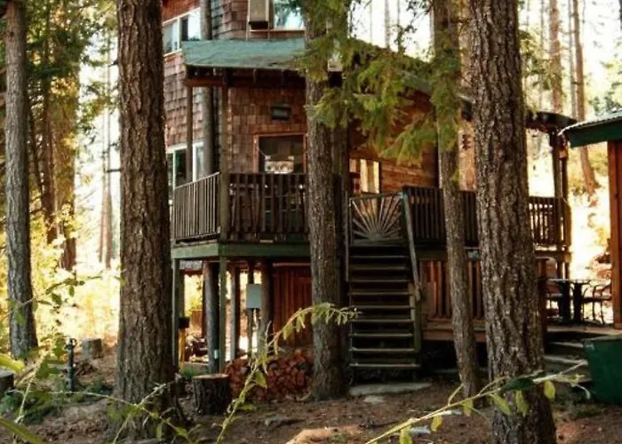 Tree House Style Cabin Nestled At The Foot Of Scenic Snow-Capped Mt. Adams, Washington