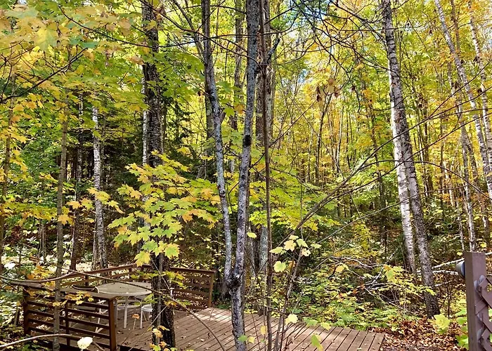 Hauser'S Bayfield Cabin