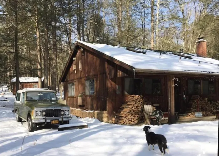 Rustic Cabin Retreat On The Ten Mile River In Narrowsburg, New York