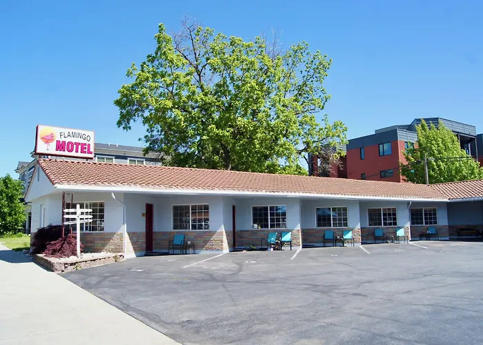 Flamingo Motel