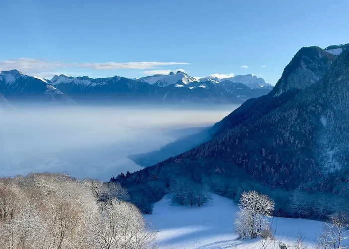 Magnifique Chalet Avec Vue Panoramique Sur Le Lac Leman