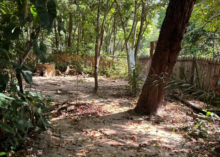 Heliantos