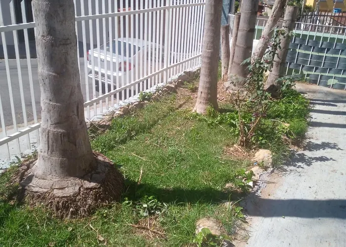 Home office solteiro aconchegante no Centro de Poços de Caldas