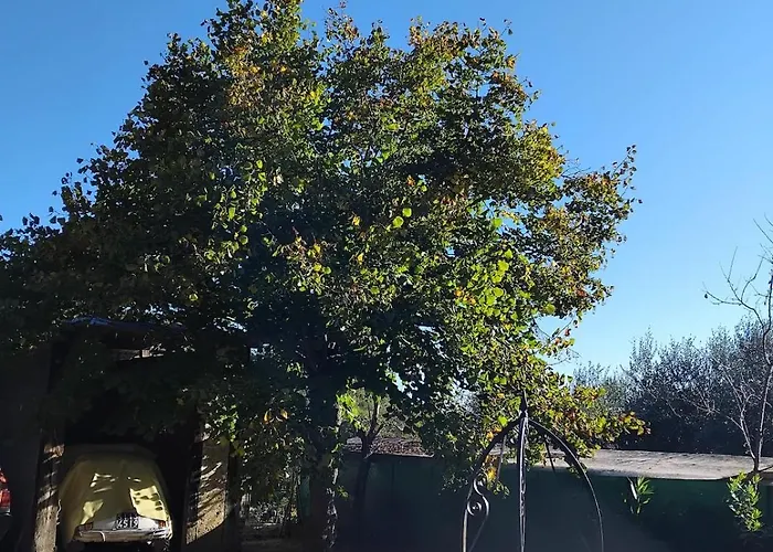Casa Vacanze La Vigna