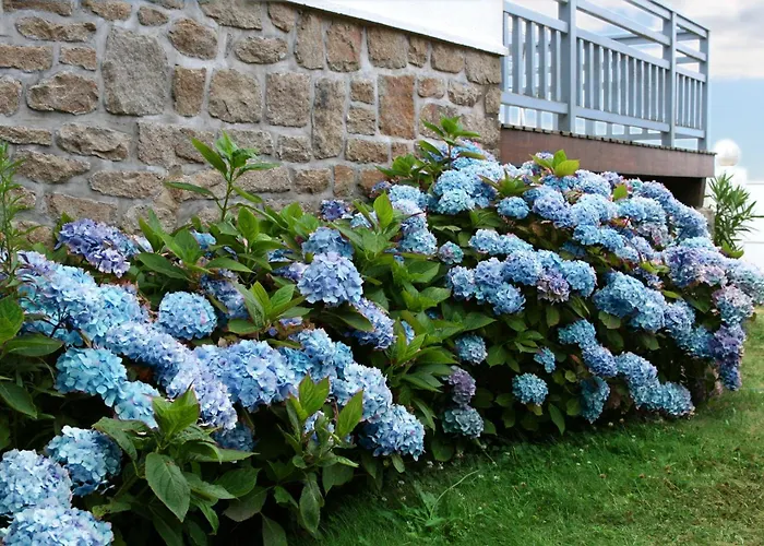Villa Ty Marie Ile Aux Moines Sur La Plage Vue Mer A 180 Degres