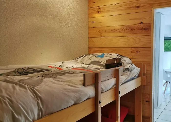Tres Beau Studio Pieds Des Pistes Tout Renove