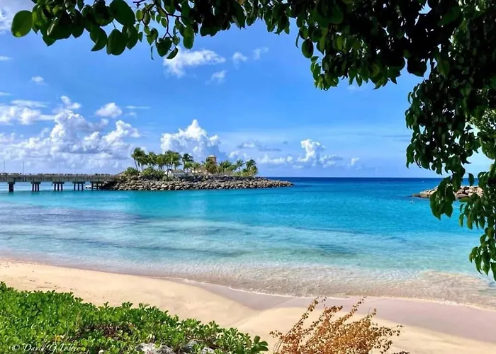 T.Cole'S Holiday Rental