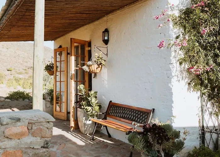 Wild Olive Cottage