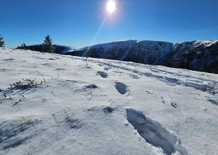 Le Coup De Soleil