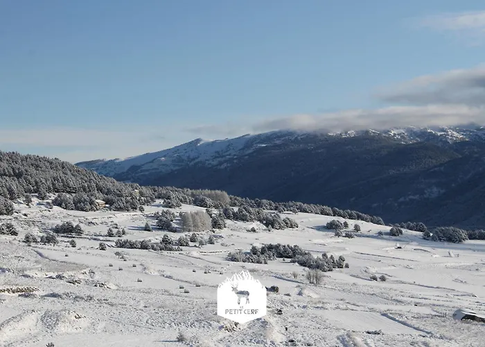 Le Petit Ours & Le Petit Cerf - Studios Vue Lac & Montagnes