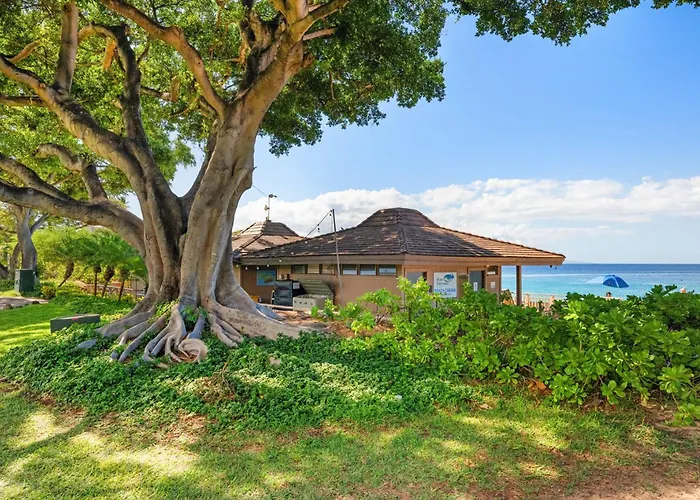 Maui Eldorado K211