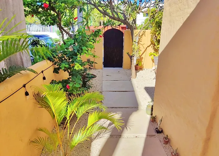 Casa Brisamar , Studios