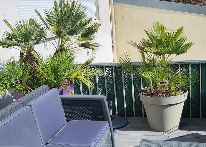 Maison Vue Mer