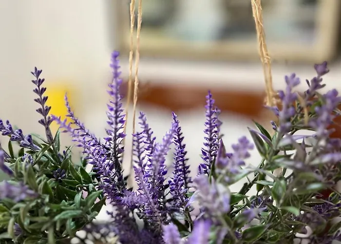 Cantinho Ítalo-Germânico Hospedagem - Suíte Lavanda - Centro, Marechal Floriano-ES
