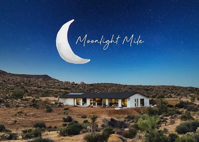 Moonlight Mile By The Cohost Company