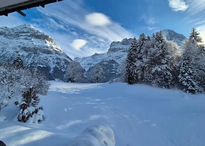 Abo - Boutique Apartment - Chalet Grindelwaldgletscher