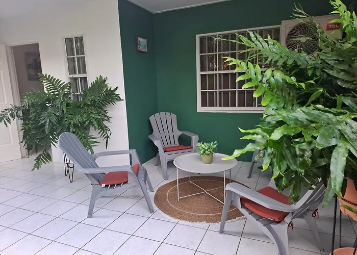 Tropical Palm Retreat