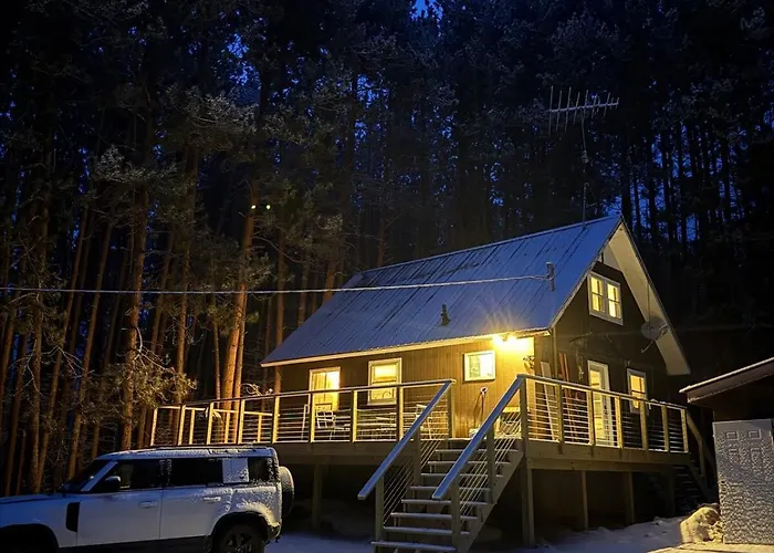 Up Escape In The Pines