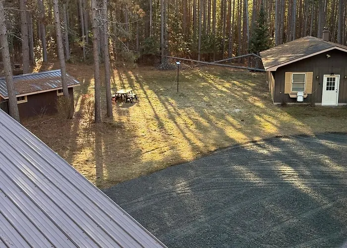 Up Escape In The Pines