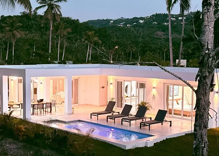 Charming Villa Gugi #80 In Palmeras De Coson, Las Terrenas