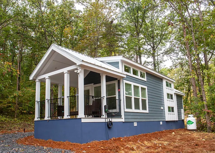 Tiny Home - Grill, Near East Fork