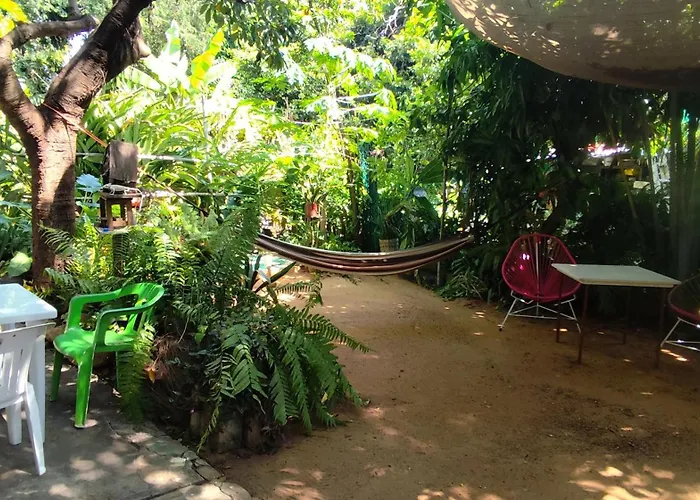 Jungle Palace Hostal Santaella