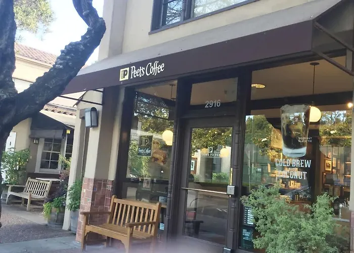 Serene Private Suite Patio Upscale Berkeley