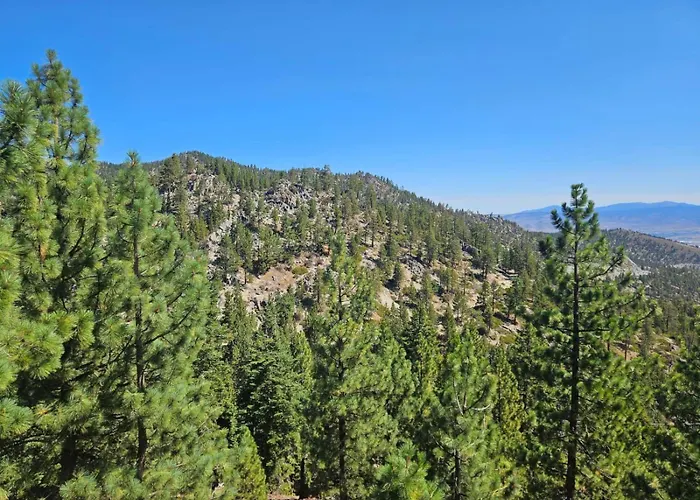 Heavenly Stagecoach Ski Retreat