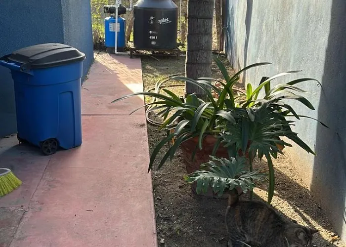 Apartamento La 20